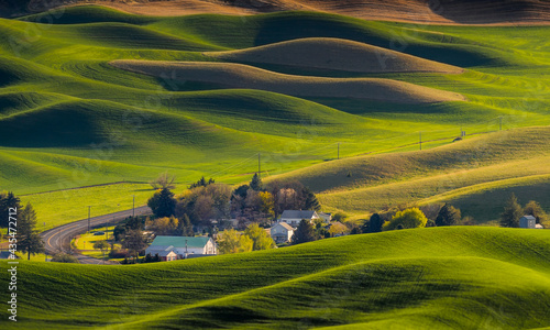 Washington Palouse. A spectacular view from Steptoe Butte State Park of the surrounding farmland and small towns. photo