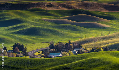 Washington Palouse. A spectacular view from Steptoe Butte State Park of the surrounding farmland and small towns.