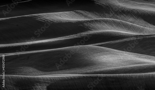 Fototapeta Naklejka Na Ścianę i Meble -  View of beautiful farm land rolling hills with dramatic lights present in the Black and white