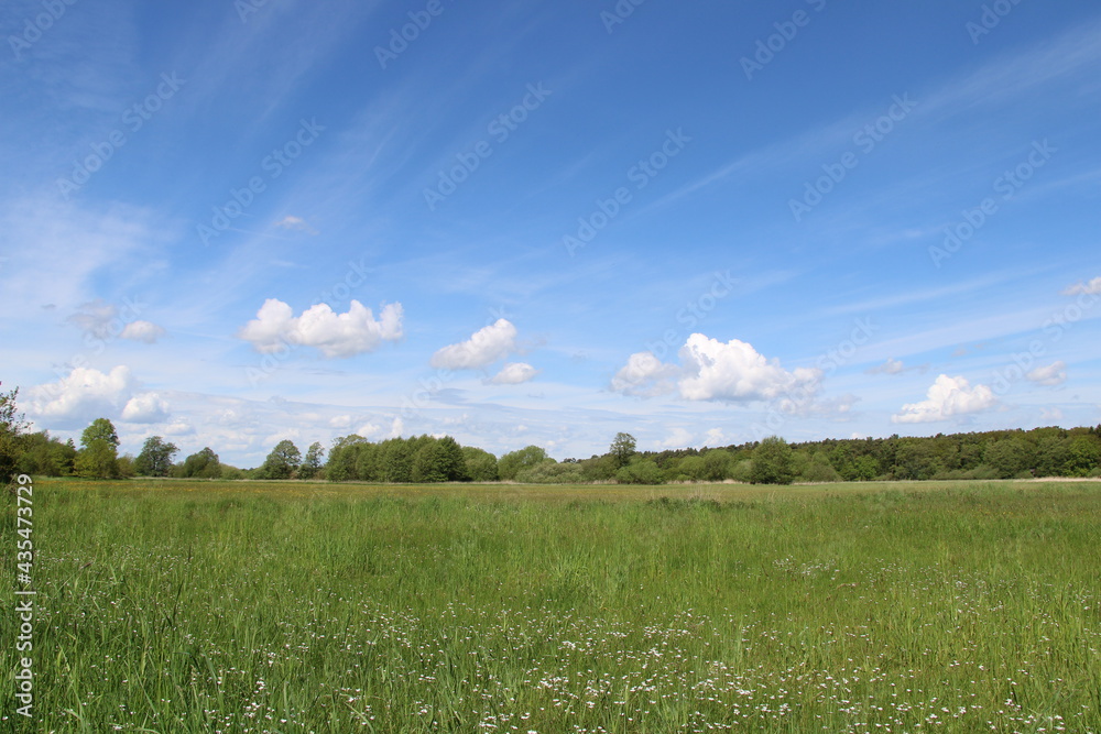Wandern auf den Nordpfaden im Landkreis Rotenburg Wümme - Nordpfad Wümmeniederung (Hinking in northern Germany) | Blauer hoher Himmel (blue wide sky) Wandern auf den Nordpfaden im Landkreis Rotenburg Wümme - Nordpfad Wümmeniederung (Hinking in northern Germany) | Blauer hoher Himmel (blue wide sky)