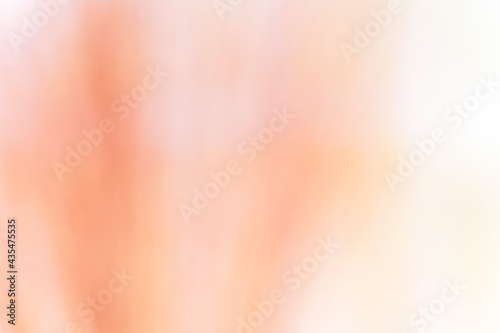 blur abstract background,nature blur background,blurred gradient background. Nature backdrop,Ecology concept for your graphic design, banner or poster.
