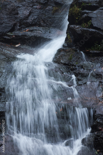 Cascading stream in nature © Allen Penton