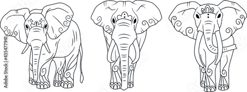 Drawing zentangle elephant, for coloring book for adult or other decorations. Black and white version illustration
