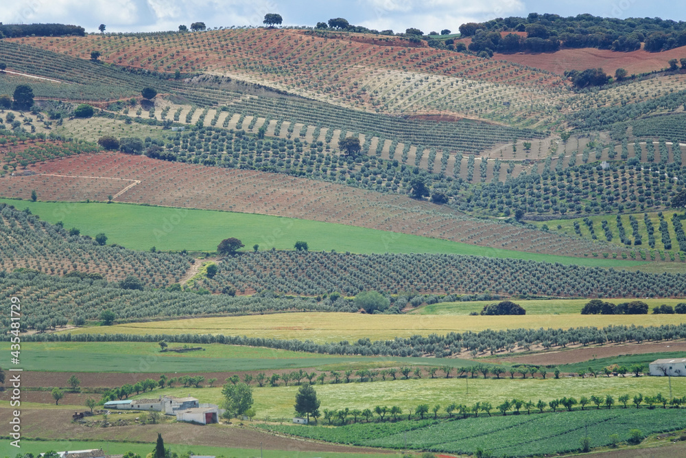 Background with fields of different crops and colors in Andalusia (Spain)
