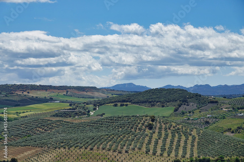 Background with fields of different crops and colors in Andalusia  Spain 