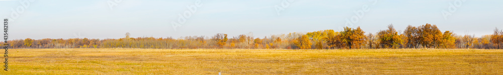 Panorama Autumn forest in front of a meadow against a blue sky. Autumn landscape