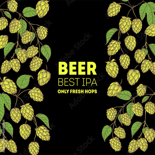 Hop hand drawn illustration. Craft beer IPA hand drawn design with hops. Beer ingredients vector illustration.