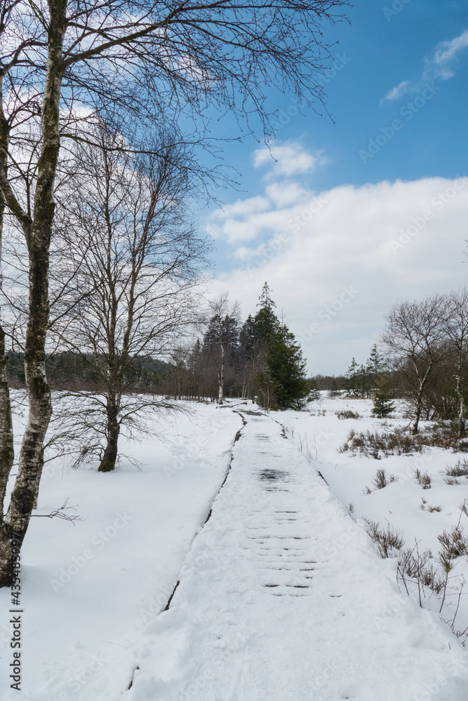 Belgium, Hautes Fagnes, vertical photo of a path in the Fagnes Belgium, Hautes Fagnes, vertical photo of a path in the Fagnes