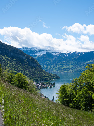 Fototapeta Naklejka Na Ścianę i Meble -  Natur in der Region Interlaken
