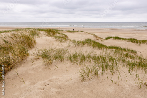 Dutch dune landscape on overcast day with helm grass growing on the tops for firmness and footsteps crossing the landscape with the North sea in the background