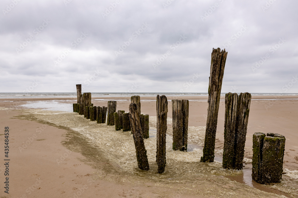 Old decaying row of palisade pile head rotten wooden wave breaker groyne poles surrounded by foam on a Dutch beach on an overcast grey afternoon day with the North sea in the background
