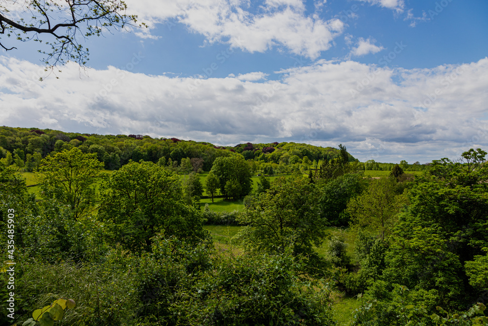 Obraz premium Rolling hill landscape in the south of Limburg, Netherlands. With spring flowers and poppies blooming under a dramatic sky.