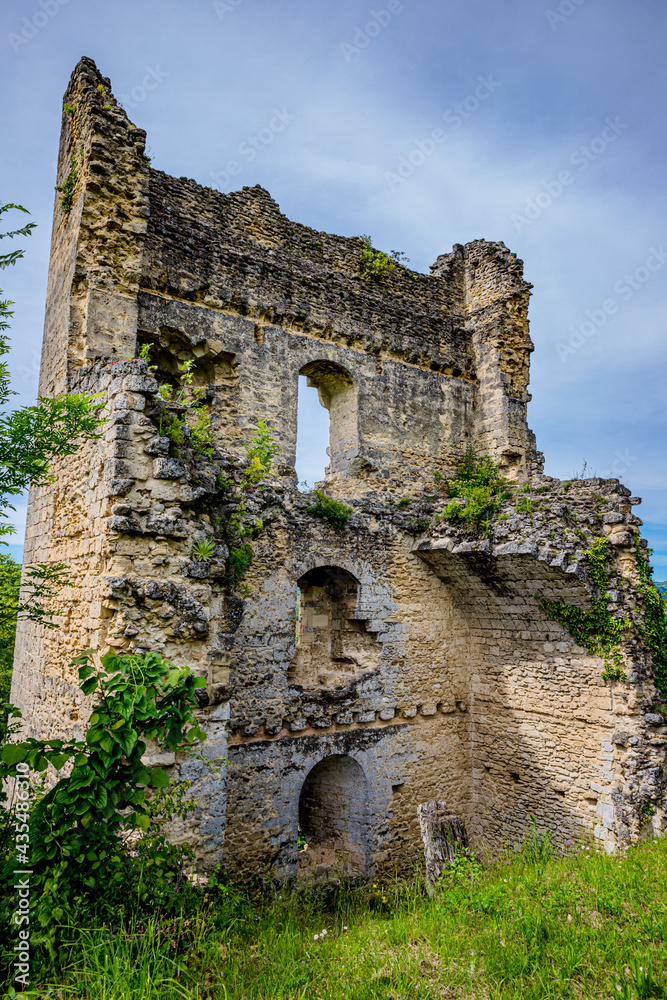 Site Médiéval du couvent des Carmes