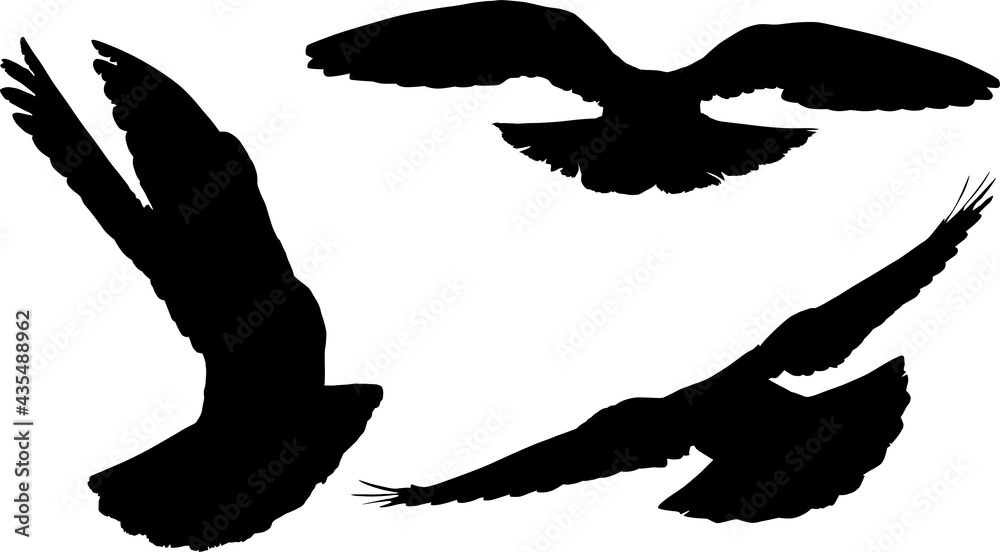 three pigeon flight isolated black silhouettes three pigeon flight isolated black silhouettes
