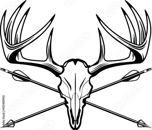 hunting trophy deer buck skull with hunting arrows photo
