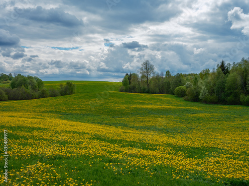 broken summer clouds over countryside fields and meadows in summer with yellow flowers