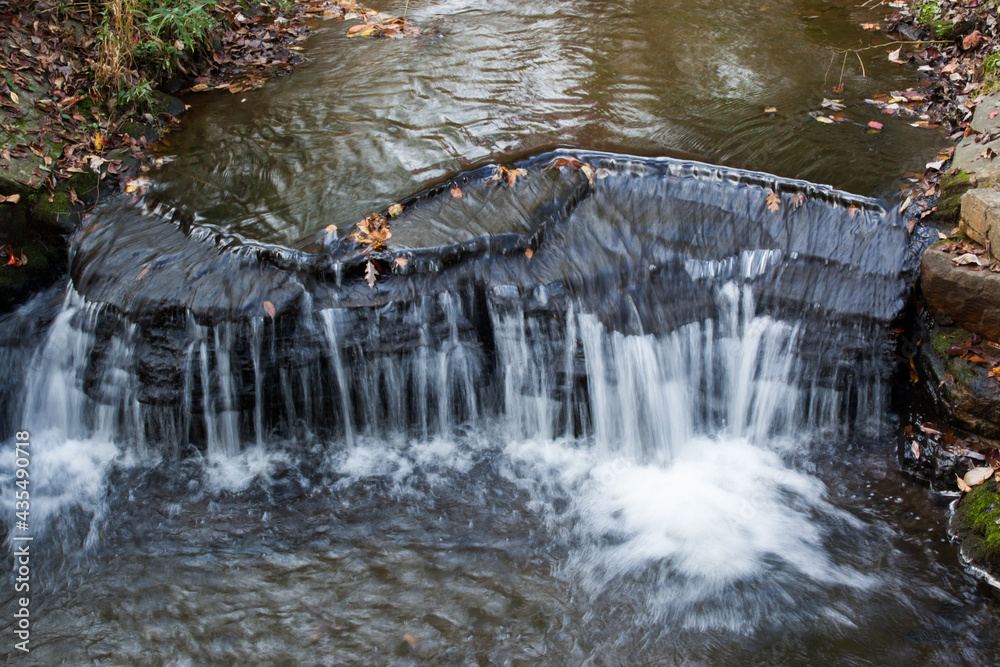 Obraz premium Fall leaves in a cascading stream