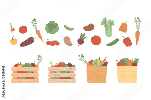 Set of isolated vegetables and crop in basket and crates. Garden, farm ingredients templates for market, restaurant. Cabbage, tomato, potato, pepper, carrot, onion and beet. Green celery and cucumber.