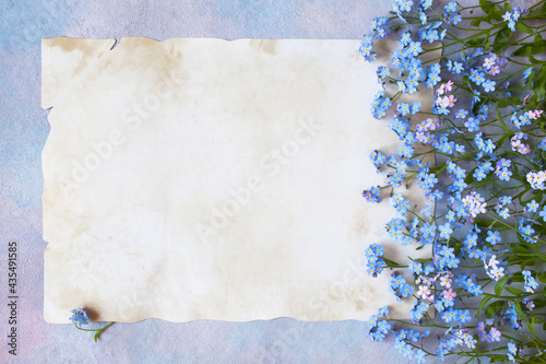 Blue and pink forget-me-not flowers on a decorative colored background, old vintage paper for congratulation text.