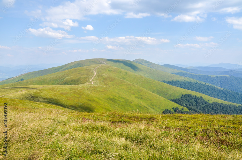 Landscape of the mountain ridge covered with green grass under vibrant blue cloudy sky, Carpathian Mountains, Ukraine