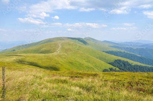 Landscape of the mountain ridge covered with green grass under vibrant blue cloudy sky, Carpathian Mountains, Ukraine