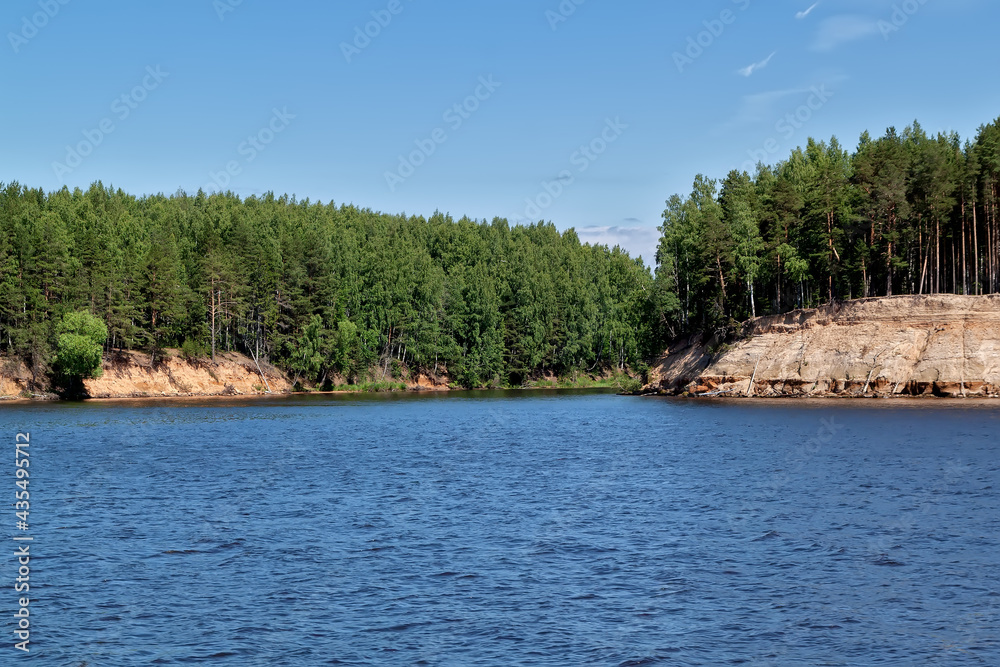 Forest on the coast of the river