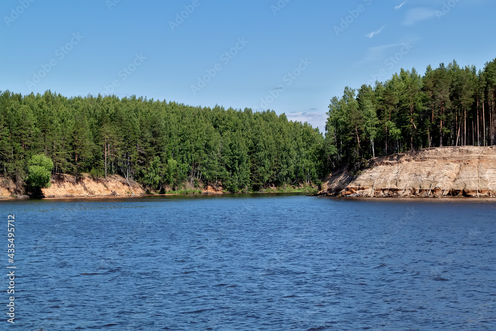 Forest on the coast of the river Forest on the coast of the river