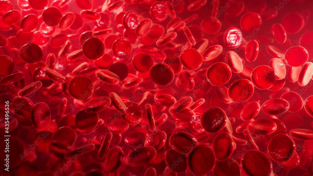 red blood cells flowing red blood cells flowing