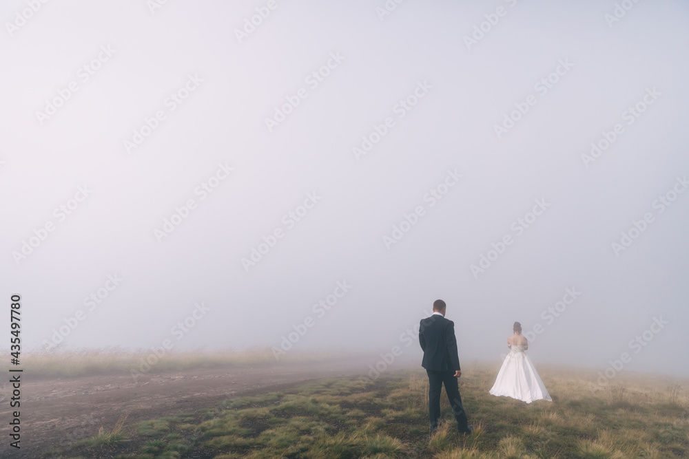 bride and groom on the background of fairy fog in the forest. Rustic wedding concept. bride and groom on the background of fairy fog in the forest. Rustic wedding concept.