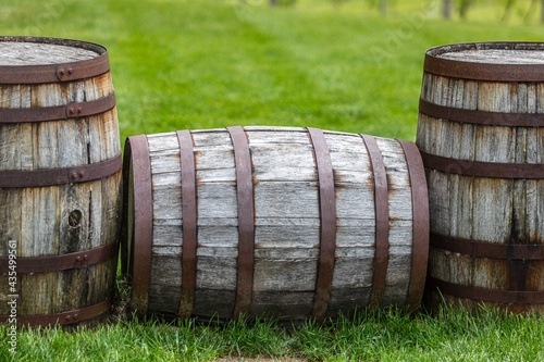 Wine Barrels