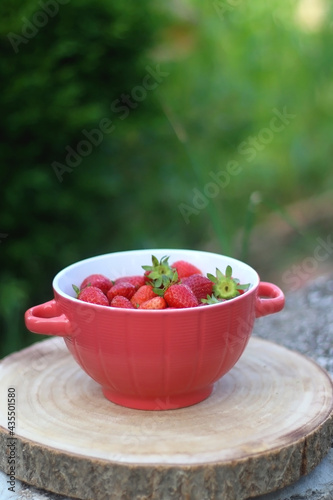 Bowl of fresh strawberries  served in a garden. Selective focus.