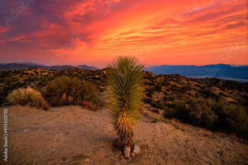 Eureka Peak Joshua Tree California photo