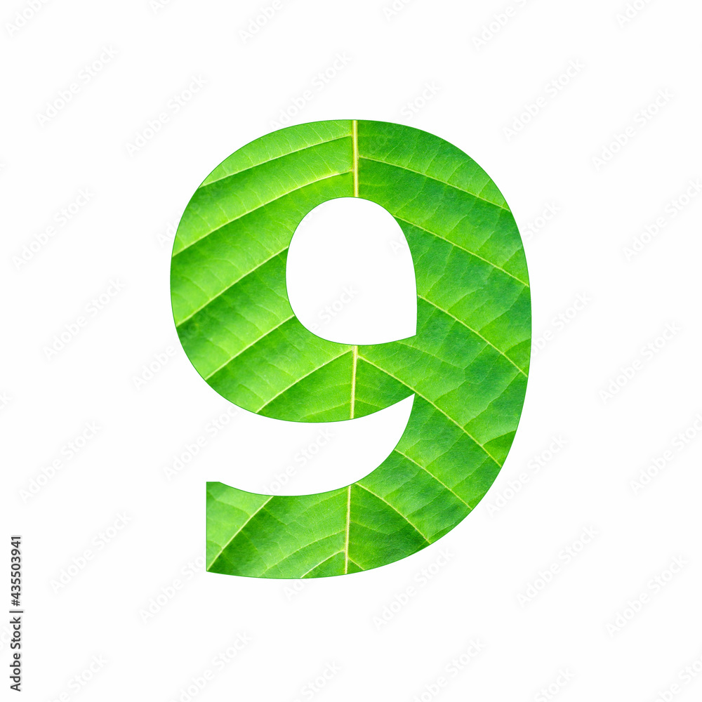Number digit nine - Tropical green leaf texture Number digit nine - Tropical green leaf texture