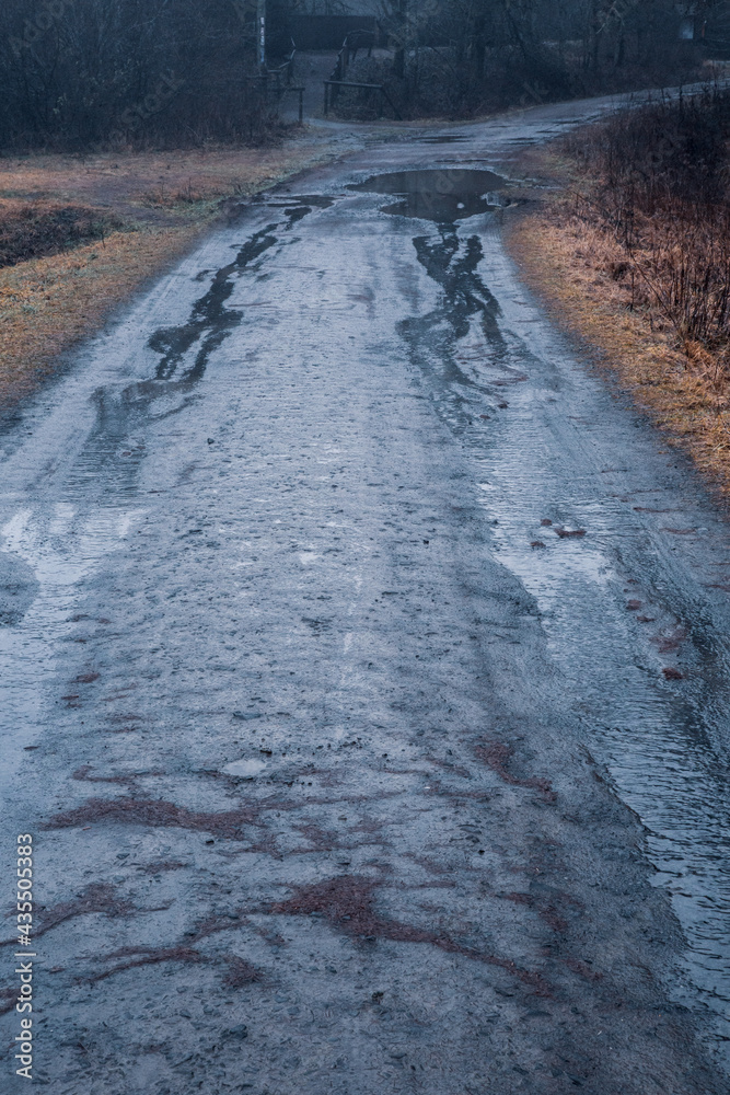 dirt road and puddle with rainwater leading into dark forest