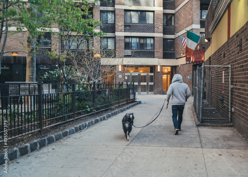 person walking in the city dog senior park New York usa buidlgin 