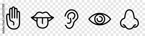 Five Senses Icon Collection. Eye, nose, ear, hand, mouth, tongue signs. Sight, smell, hearing, touch, taste vector icons. Isolated on transparent background