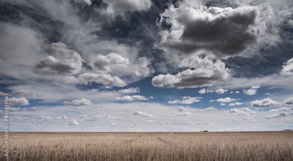 A dramatic cloudy sky over the Canadian prairies on a seeded wheat field in Rocky View County Alberta Canada.
A dramatic cloudy sky over the Canadian prairies on a seeded wheat field in Rocky View County Alberta Canada.