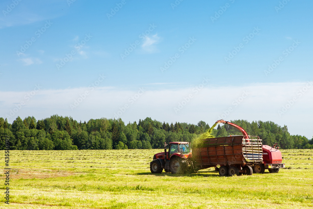 Obraz premium Hay harvesting in the field.