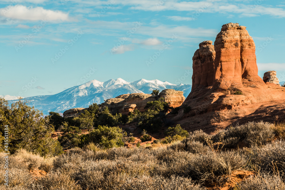 Obraz premium Slick Rock and The Snow Capped La Sal Mountains on The Broken Arch Trail, Arches National Park, Utah, USA