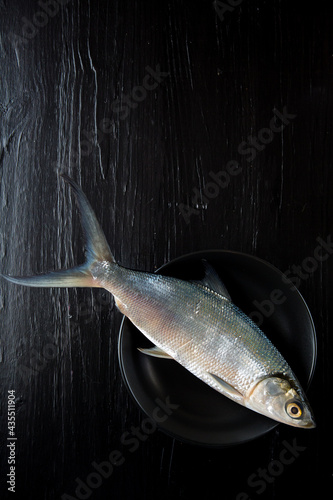 Whole raw fish on dark surface 