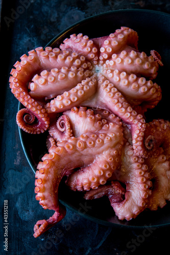 octopus in a bowl  photo