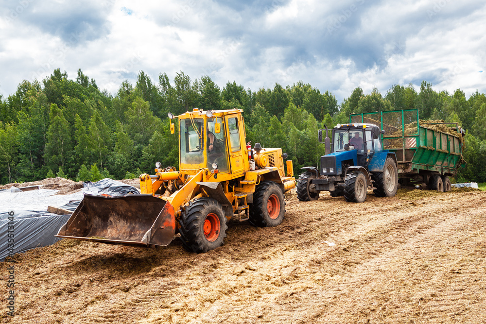 A bulldozer and a tractor compact the cut grass in a silage trench. A bulldozer and a tractor compact the cut grass in a silage trench.