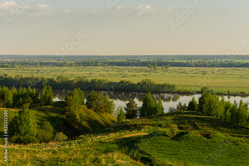 landscape with forest © Evgenii Ryzhenkov
