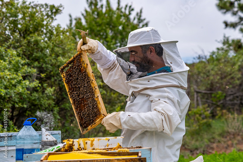 Beekeeper man is working with beehives. Beekeeper wears protective clothing. Beekeeping concept.
