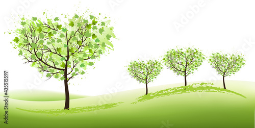 Nature Background with stylized trees representing season - summer. Vector.