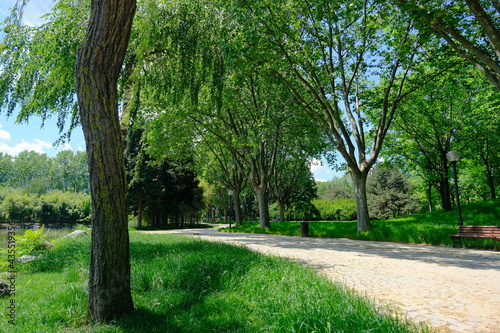 Green public and nature park in Bursa during sunny day. Park with walking gravel road and way behind green grass and fresh trees in spring time with wooden bench. Translation "Bursa Municipality"