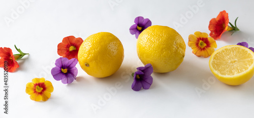 lemons and flowers banner