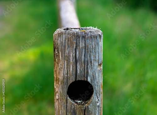 wooden fence post 