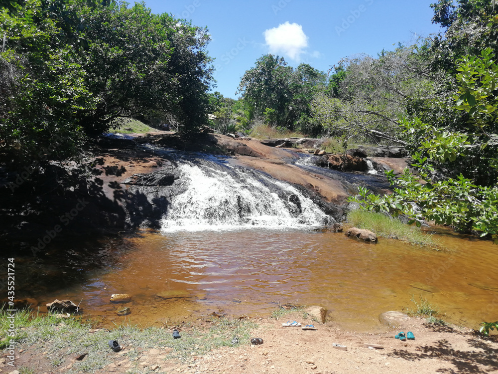 Obraz premium waterfall in the forest