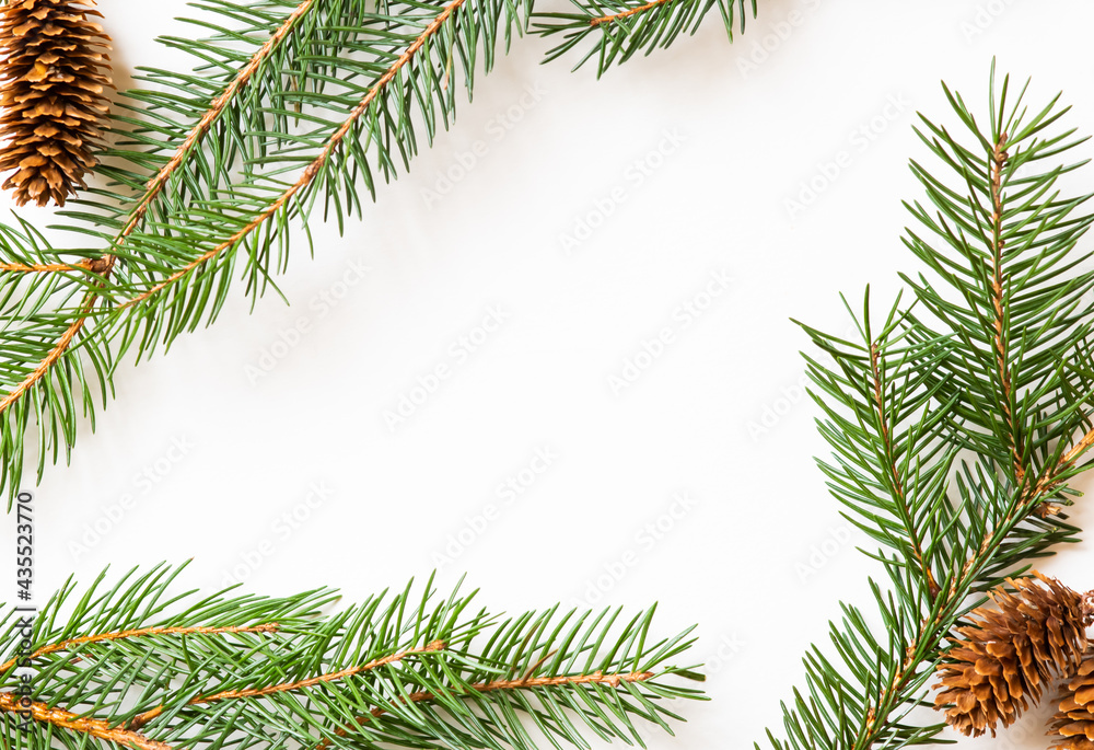 Pine branches with cones, copy space for text, winter, Christmas
Pine branches with cones, copy space for text, winter, Christmas